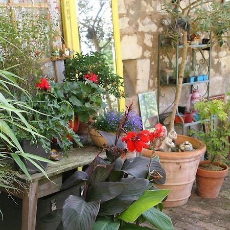 Les Petites Mirabelles Acomodação com café da manhã Noyers-sur-Cher Exterior foto